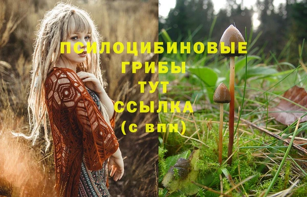 стаф Беломорск