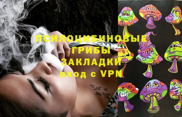 бутират Белокуриха